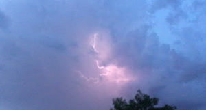 Meet your Posher, Alana